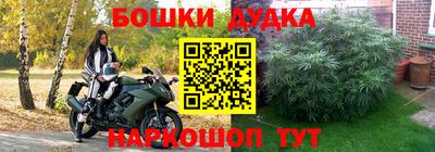 твердый Сланцы