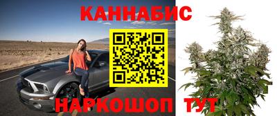 твердый Сланцы