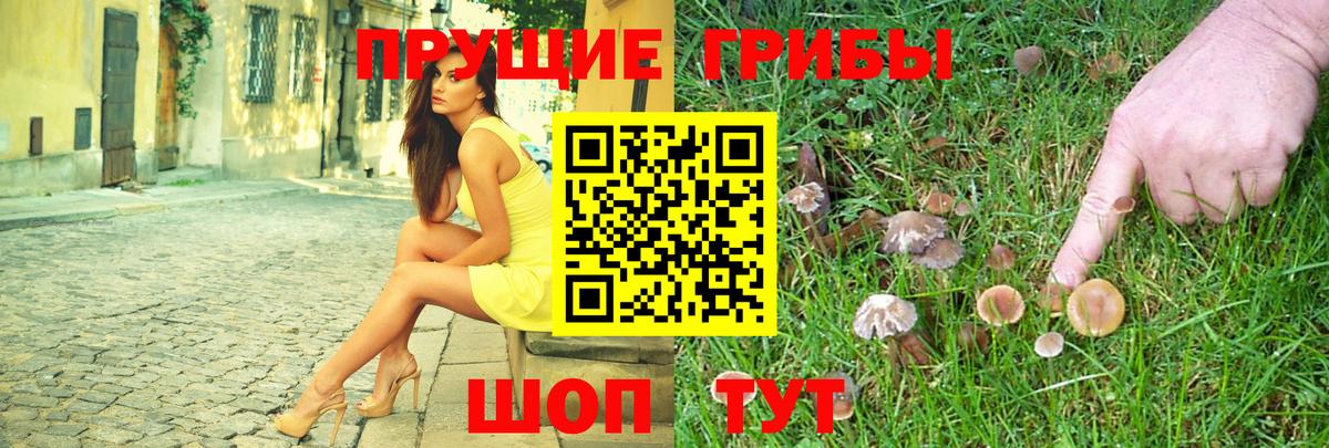 Псилоцибиновые грибы Magic Shrooms Новозыбков